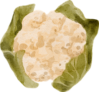 White vegetables